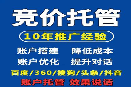 案例对比：不同竞价广告平台的优劣